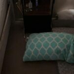 Sloane 2-Drawer Nightstand