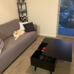 Apex Coffee Console