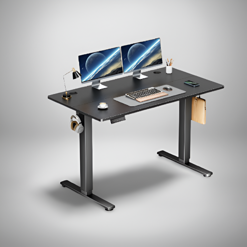 ErgoLift Electric Standing Desk