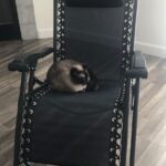 Zero Gravity Duo Chairs