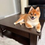 Nexus Lift-Top Coffee Table