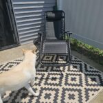 Zero Gravity Duo Chairs